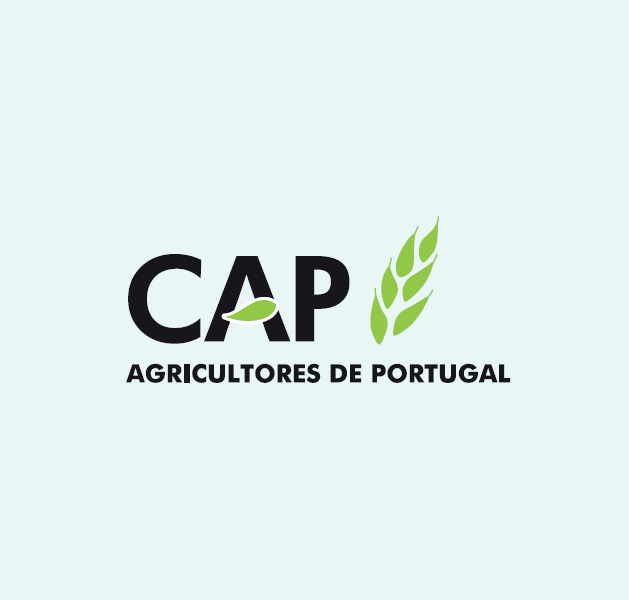 logo CAP site