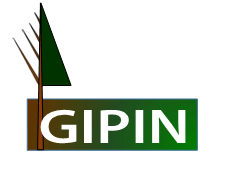 logotipo GI PIN