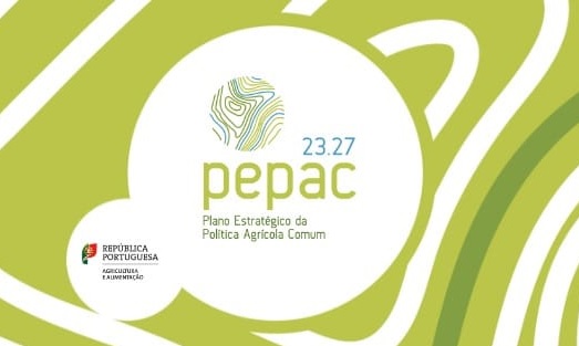 pepac 2023 27