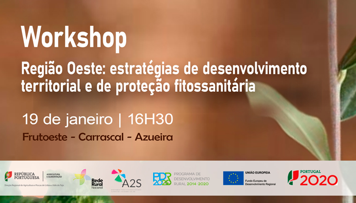 workshop_azueira