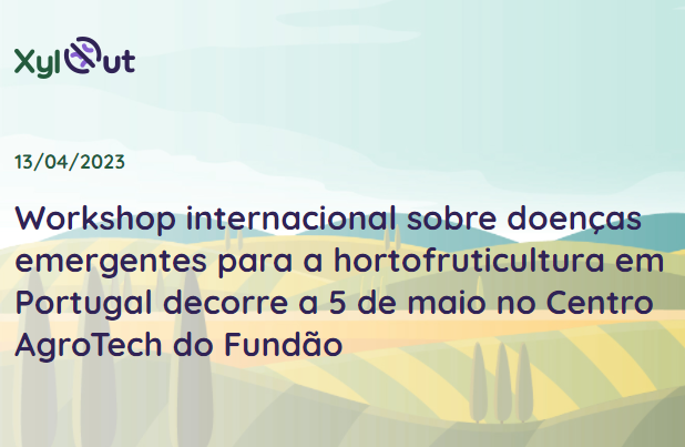 workshop xylout fundao