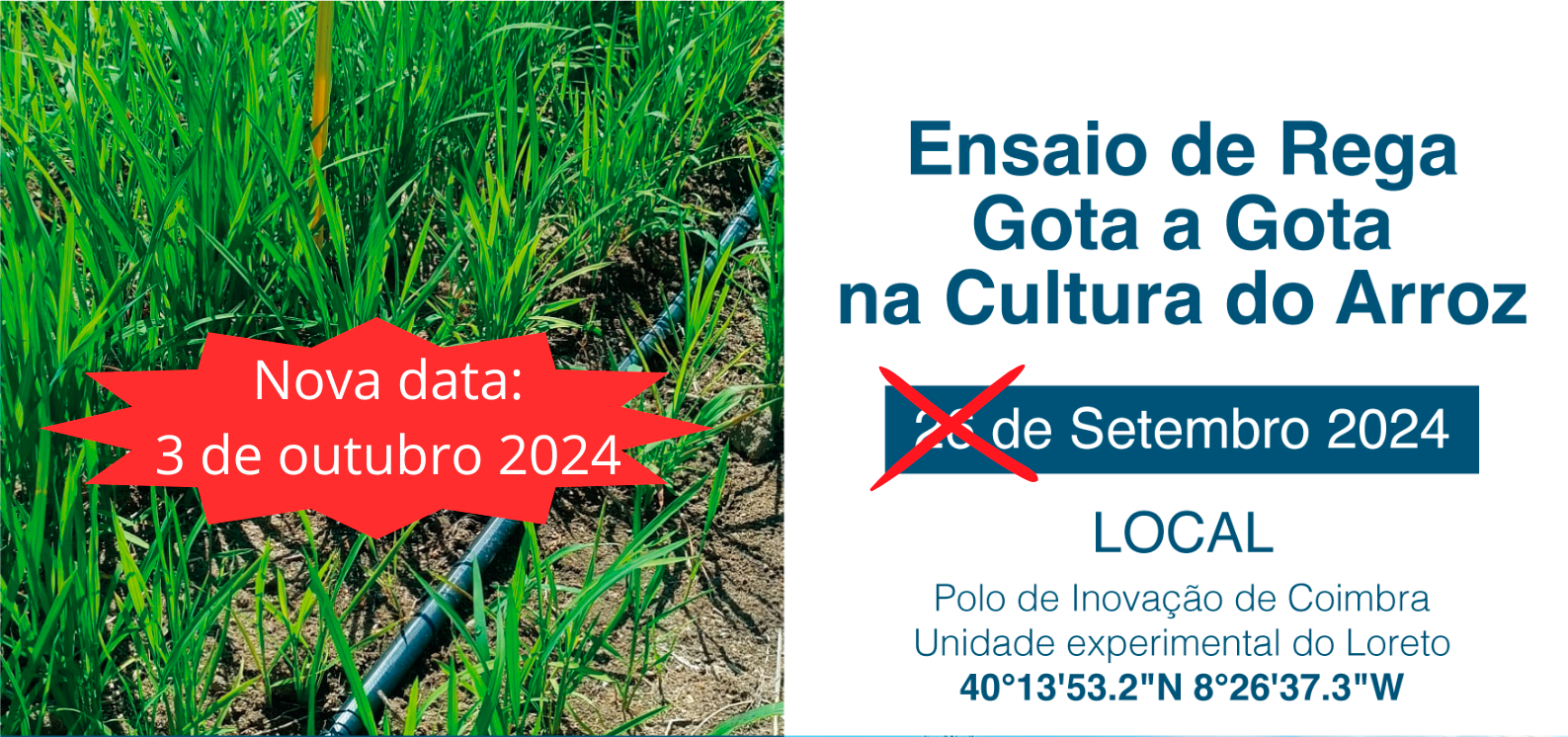 Coimbra 3 de outubro site