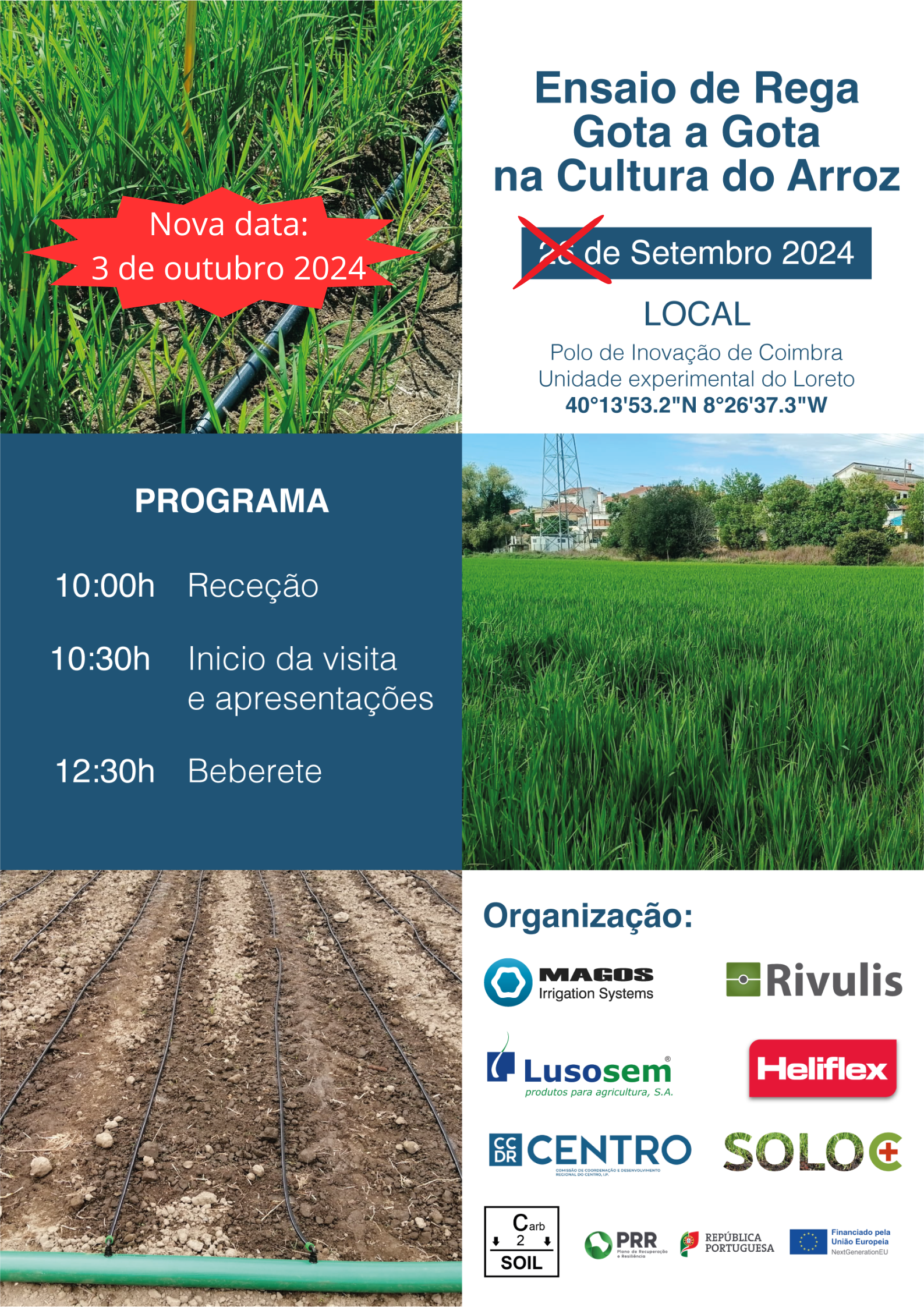 Coimbra arroz 3 de outubro 2024