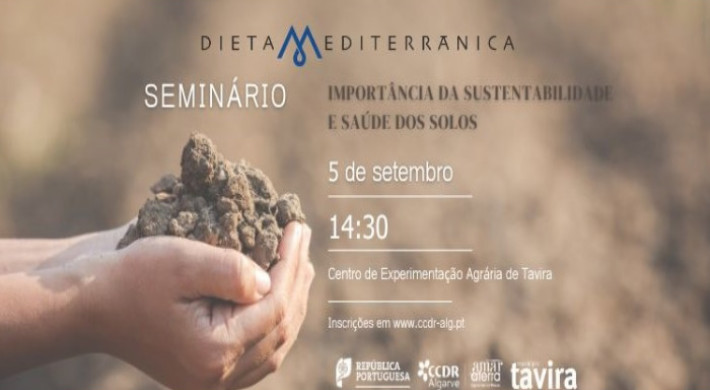 DM_seminario-solos-dm-tavira-final