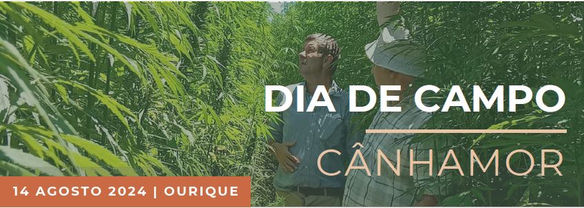 Dia_campo_canhamor