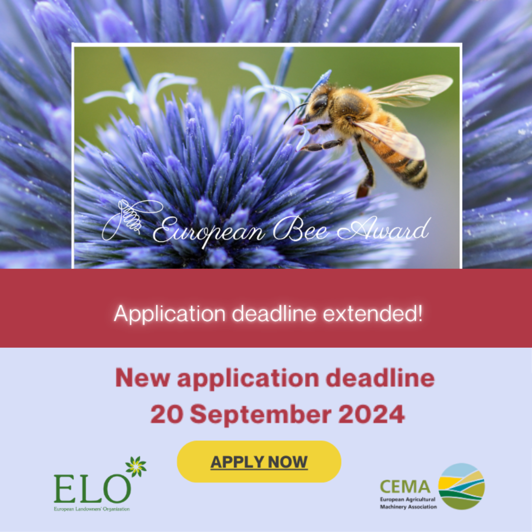 European Bee award extended deadline