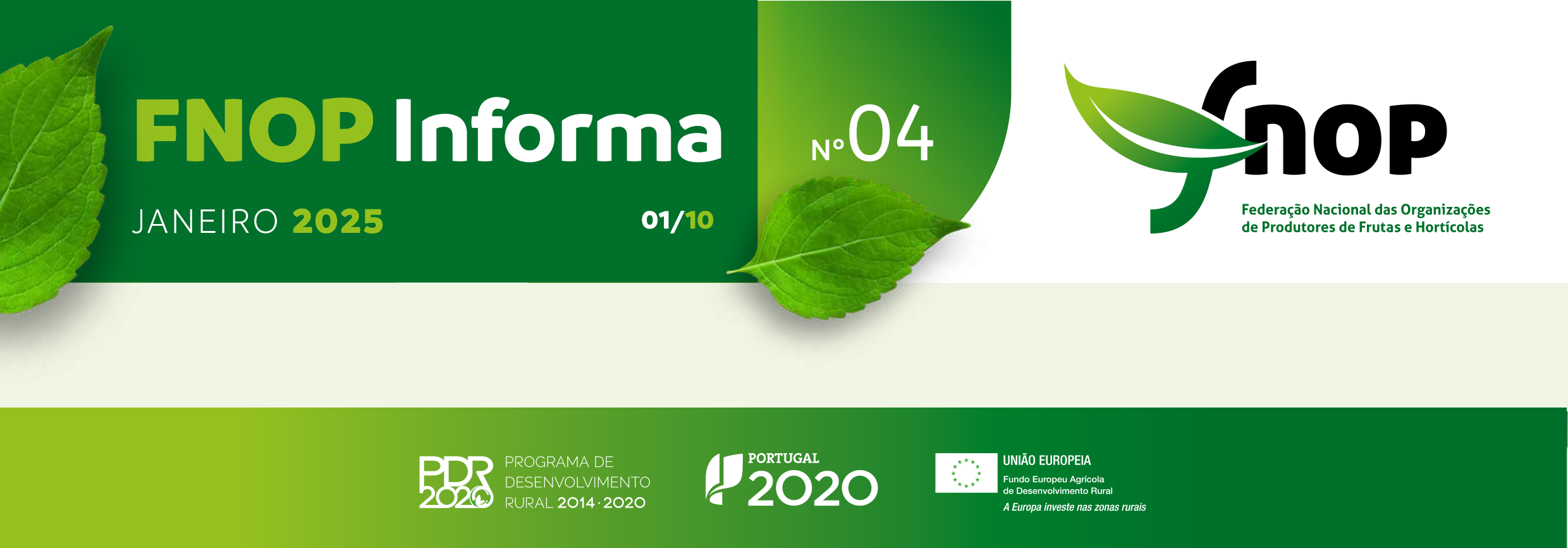 FNOPInforma 04 1