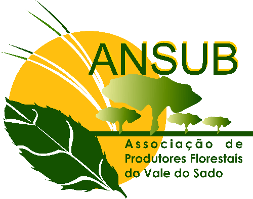 Logo ANSUB color