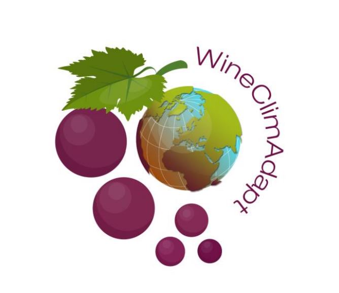 Logo wineclimadapt
