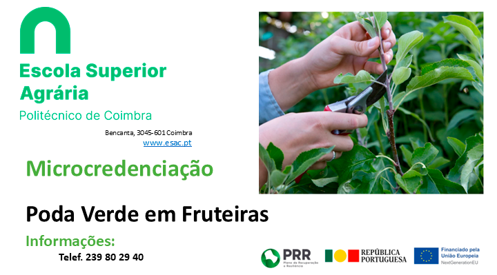 Poda Verde Fruteiras jun2025 1