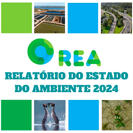 REA 2024 Final 22 out 2024 1