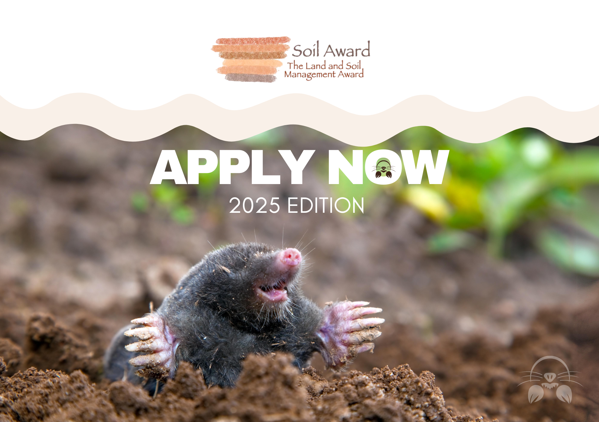 Soil Award Card 2 1