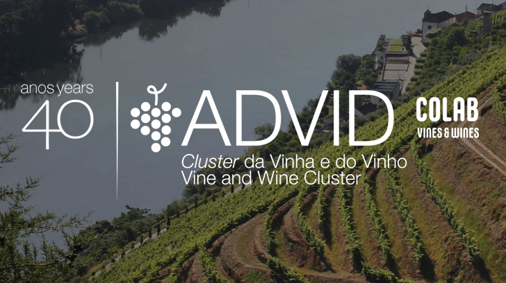 advid colabwinesvines