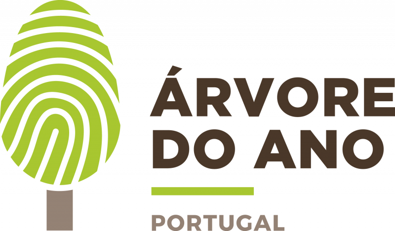 arvore ano 2025