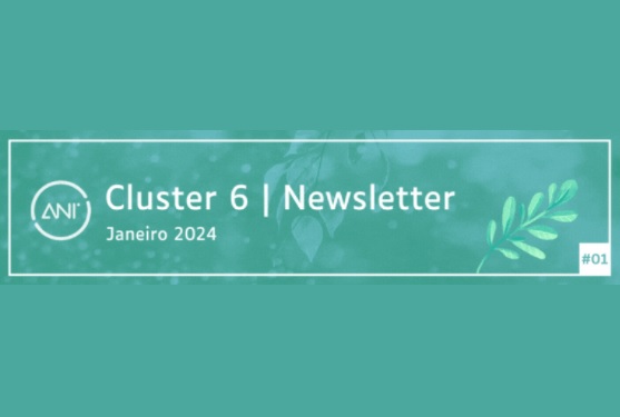 cluster6 newsletter1