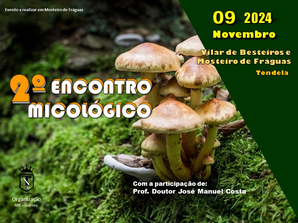 encontromicologico site