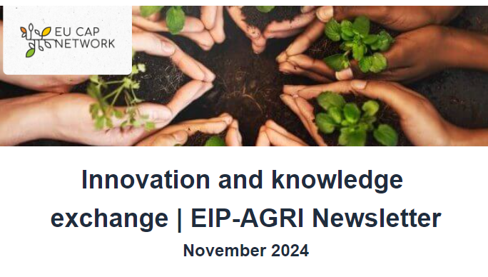 innovatiom nl nov