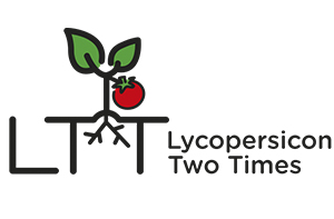 l L2T Logo