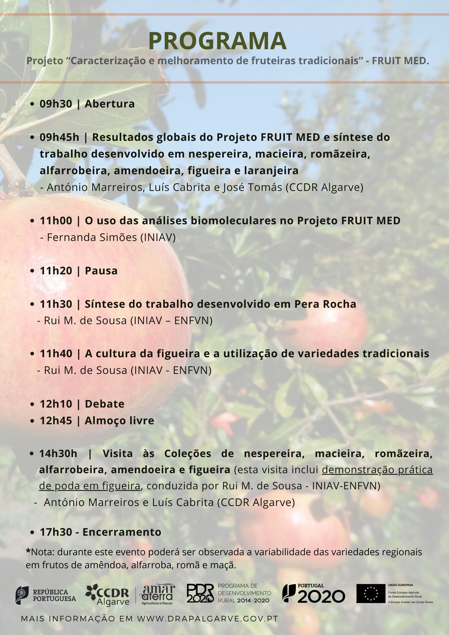 projeto FRUIT MED programa