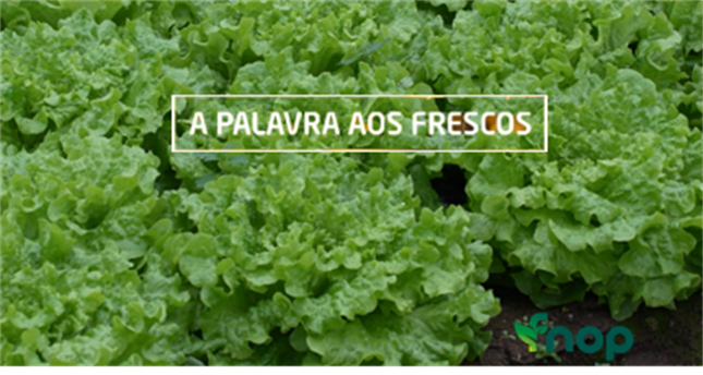 thumbnail image004 2