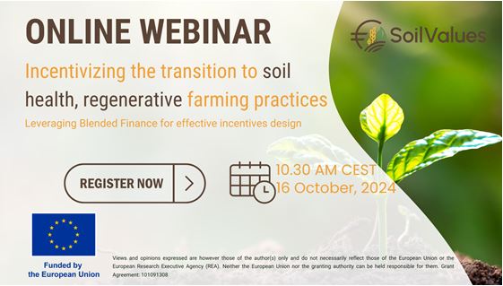 webinar_solo