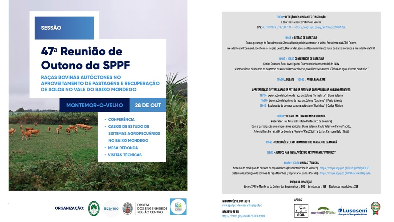  Programa 47ªRO FINAL