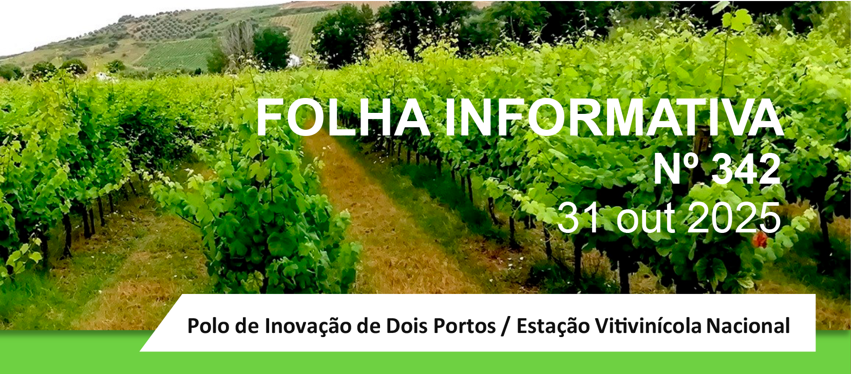Dois Portos Set