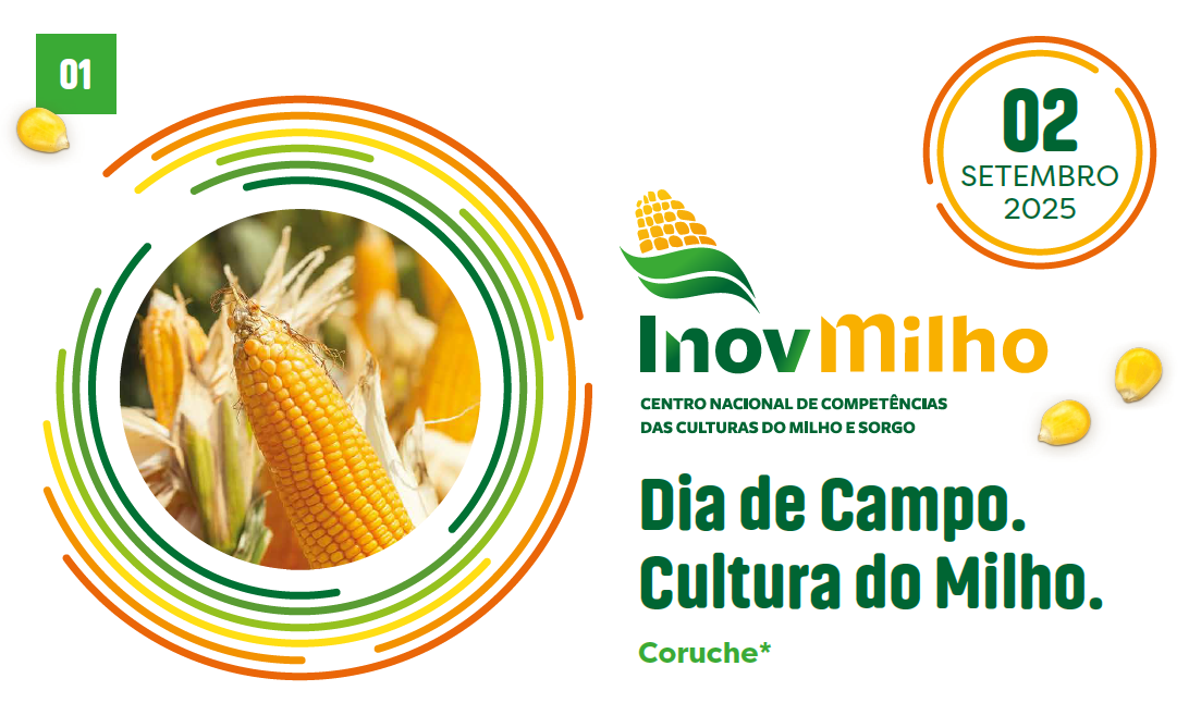 Captura de ecrã 2025 08 25 112914