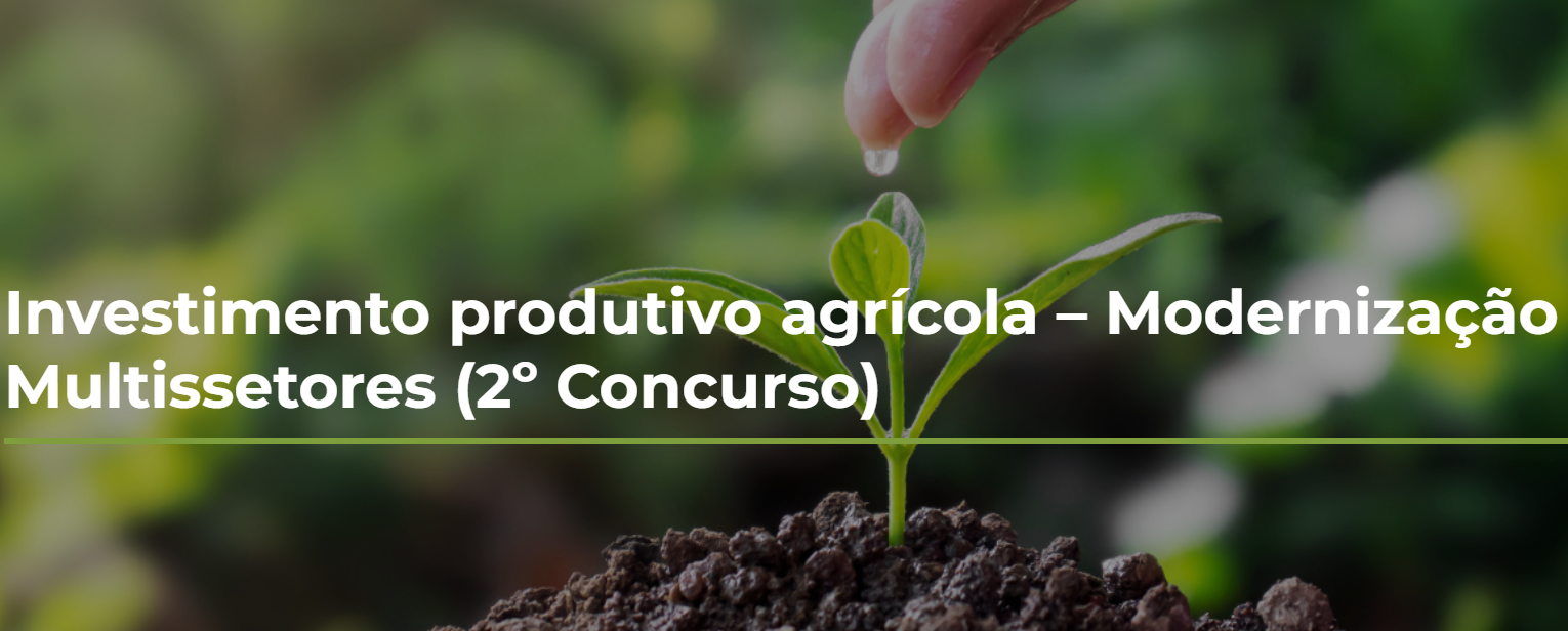Captura de ecrã 2025 08 29 163739