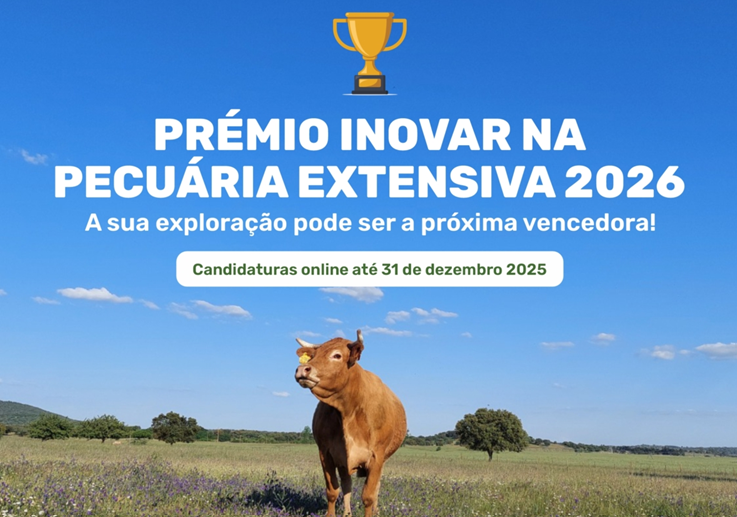 Captura de ecrã 2025 09 15 104114