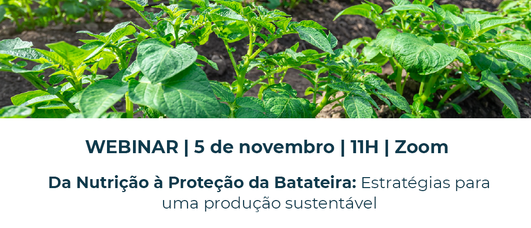 Captura de ecrã 2025 10 30 114837