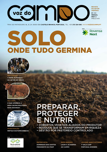 Captura de ecrã 2025 12 02 095815