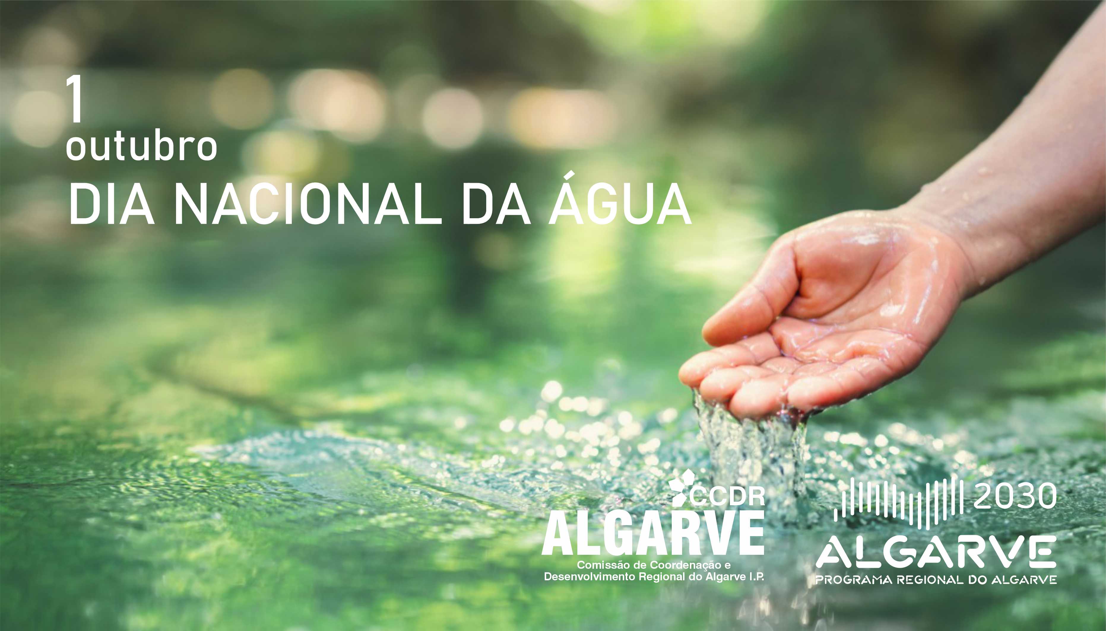 DIA NACIONAL AGUA SITE