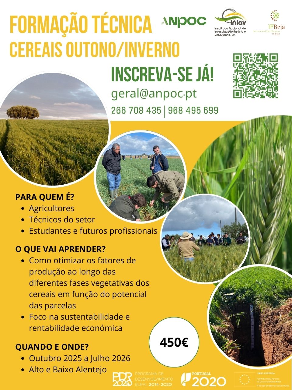 Formação Técnica Cereais