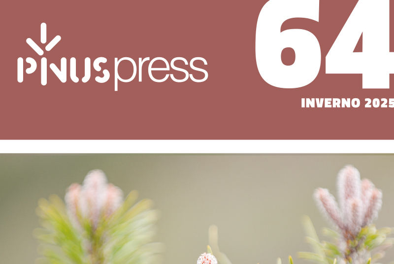 PINUS PRESS 64 site NOT