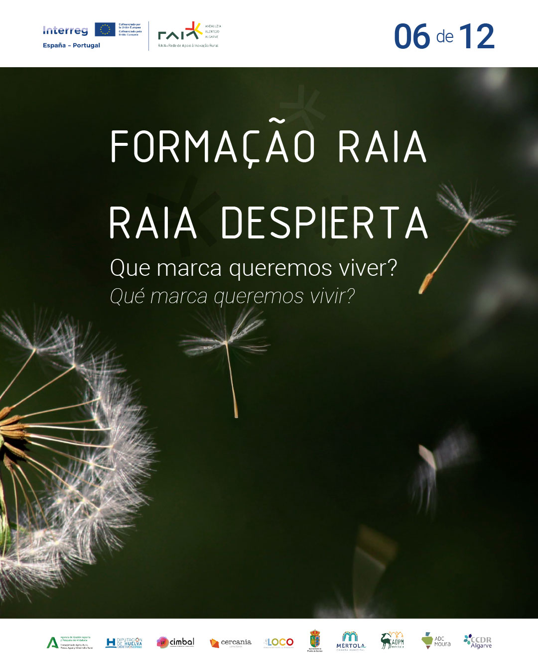 RAIA DIESPERTA 1