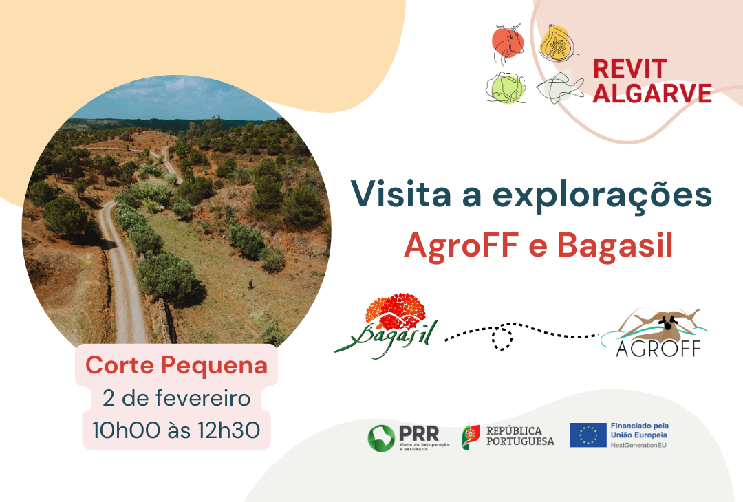 Revitalgarve visita agroff bagasil img
