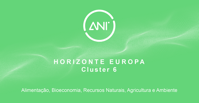 ani cluster 6