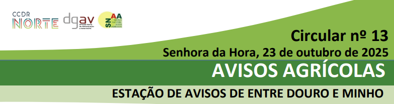 circular 13