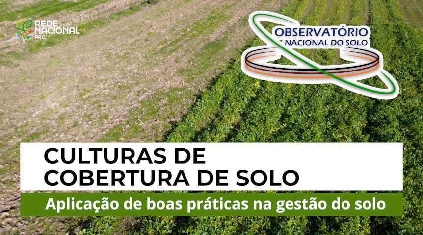 cobertura solo video site