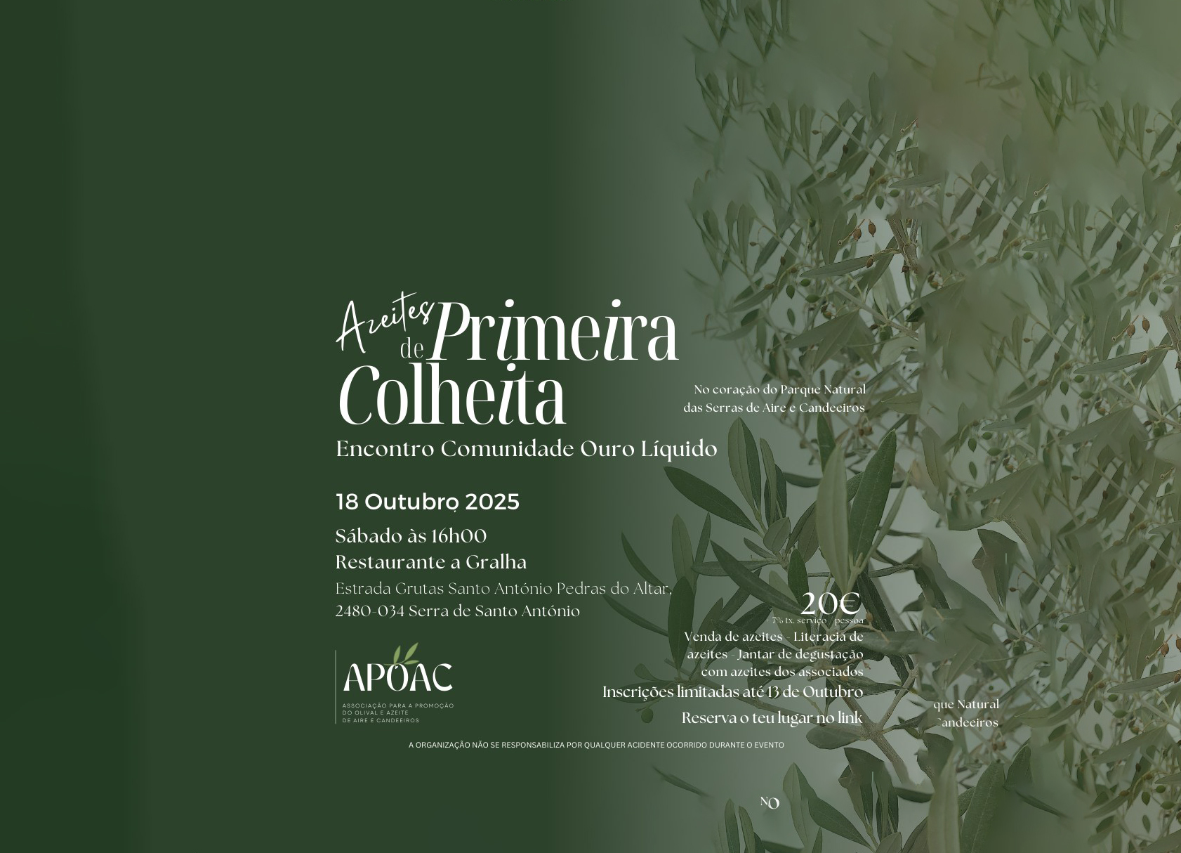 festival primeira colheita apoac site