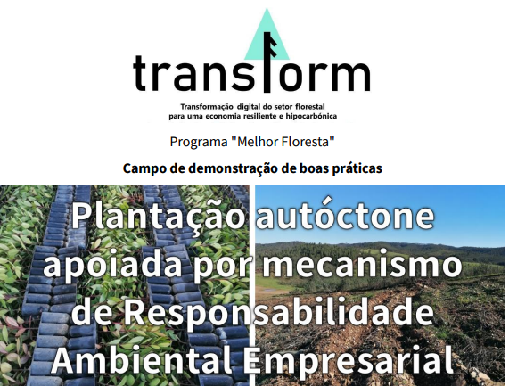 transform sessao odemira