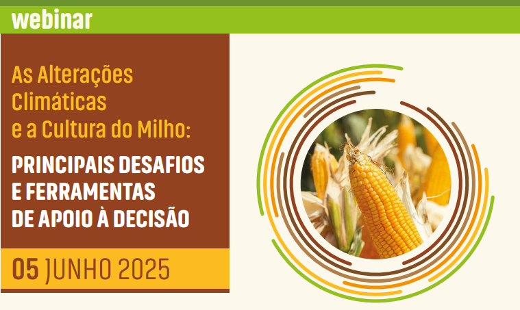 webinar AC milho