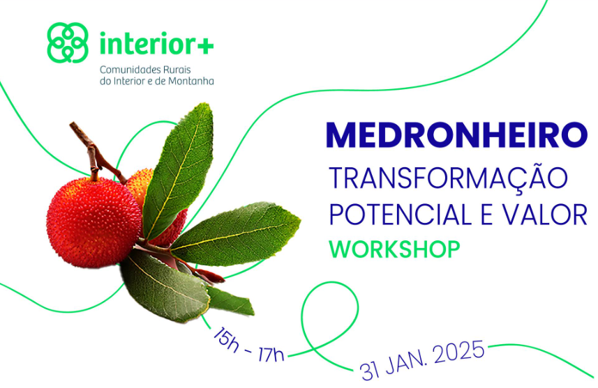 workshop medronheiro