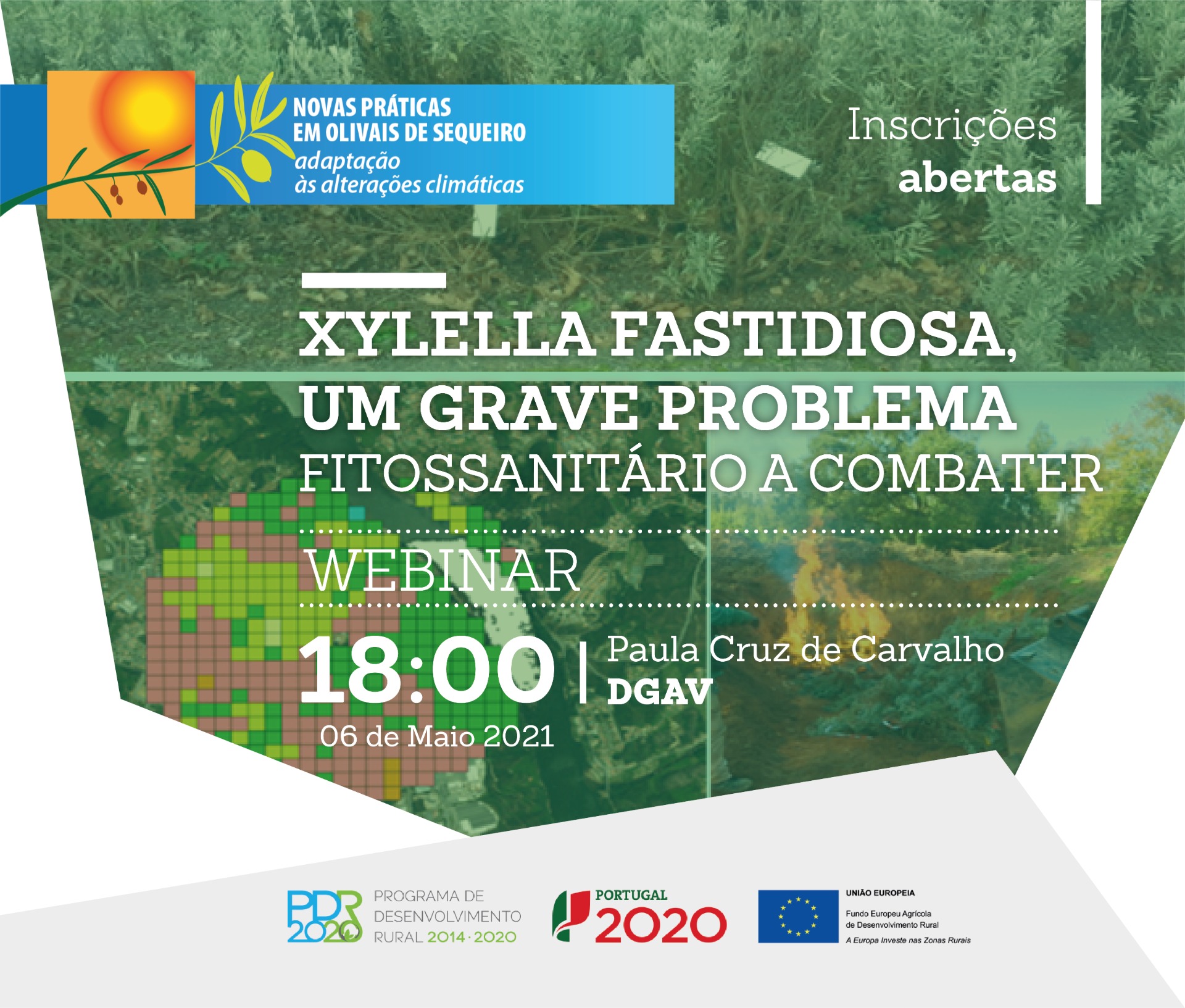 cartaz webinar