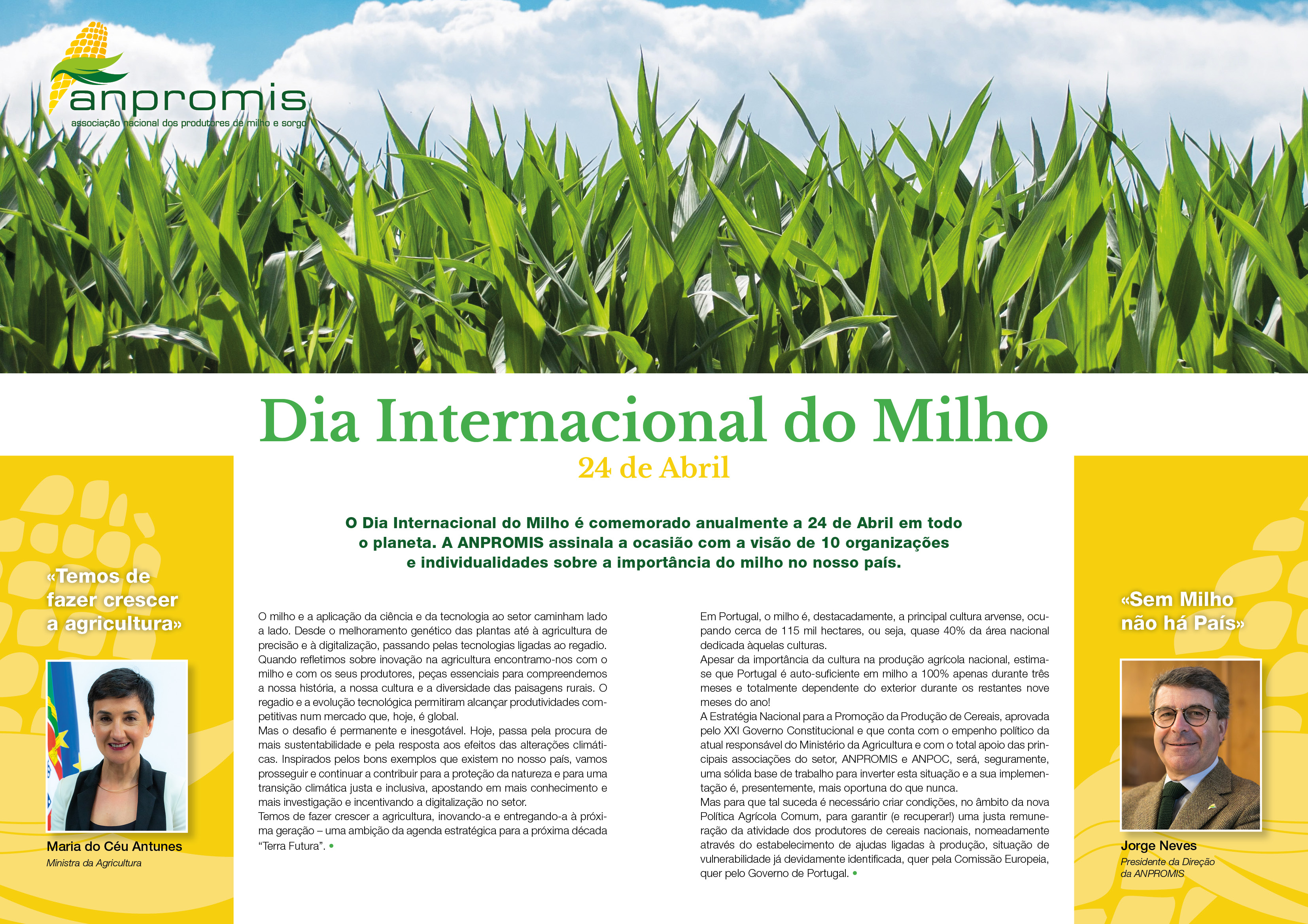 Dia Internacional do Milho testemunhos