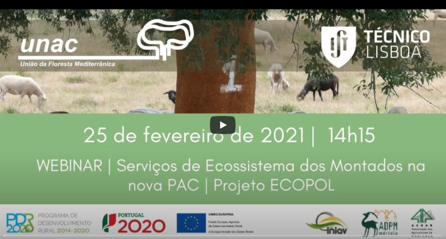 Ecopol webinarFinal