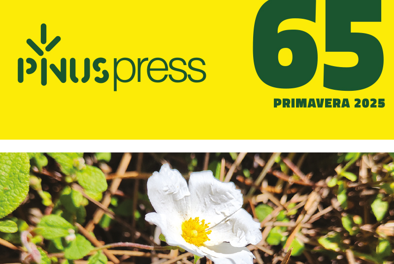 PINUS PRESS 65 site NOT