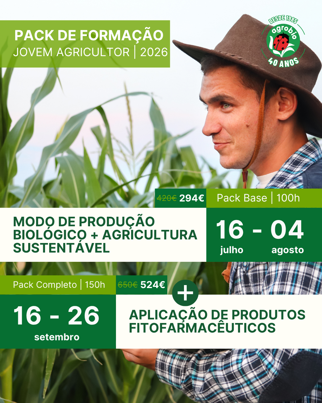 Pack Cursos 2026