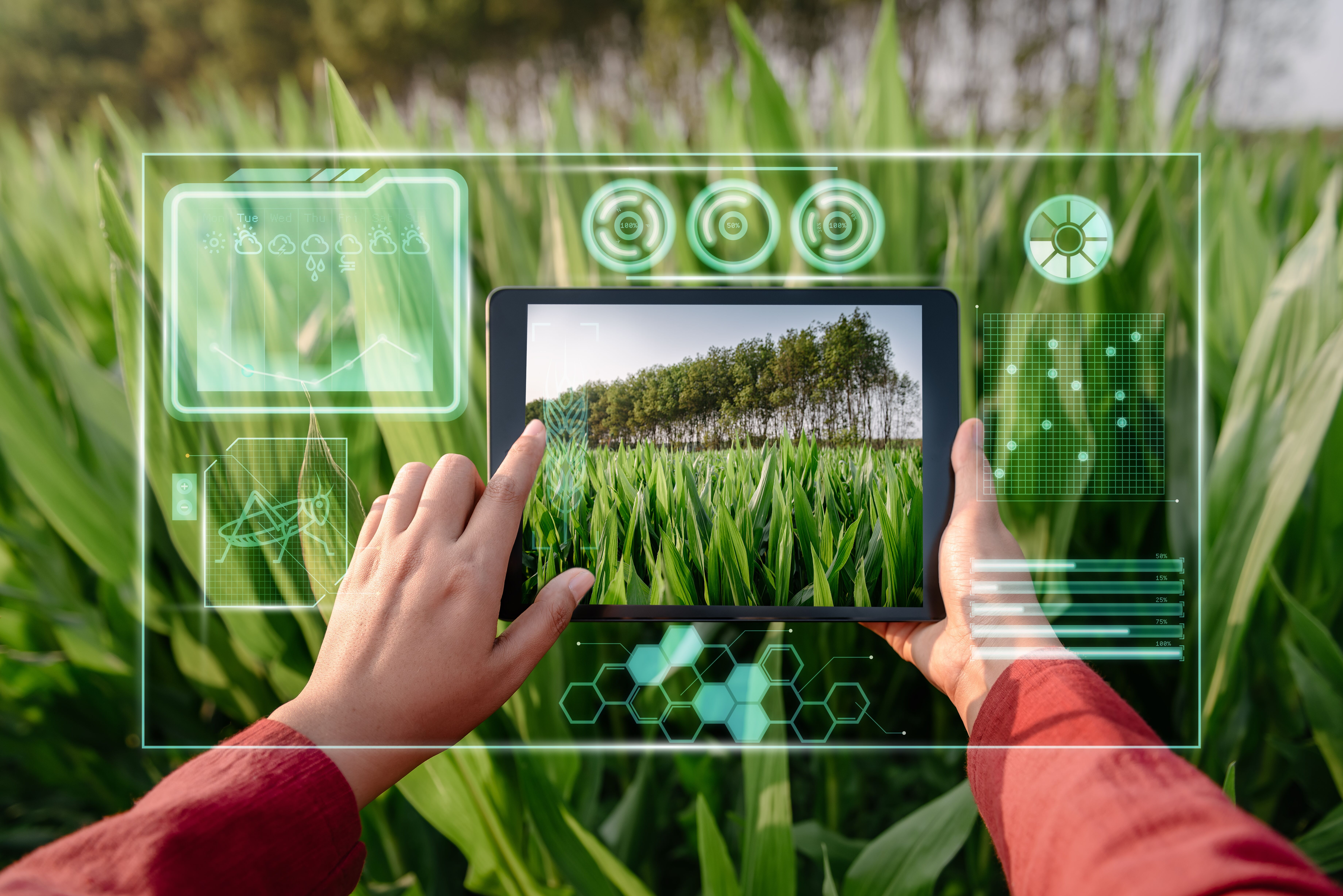 Print Farmer woman using digital tablet with virtual reality Artificial Intelligence AI for analyzing plant disease in corn agriculture fields